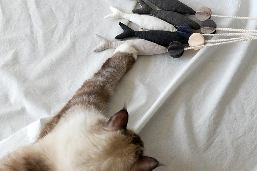 Fish and Chews . Charcoal