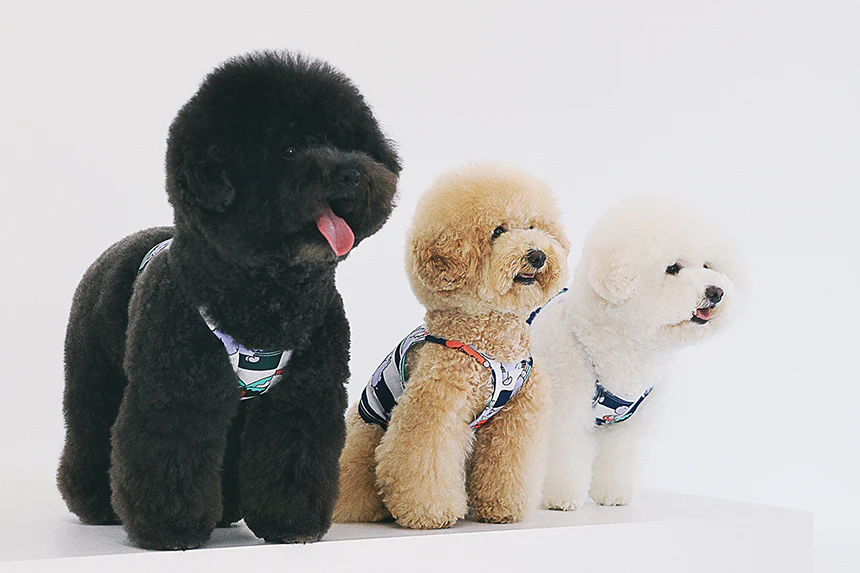 ALOHA HIPPO CROP TEE . NAVY