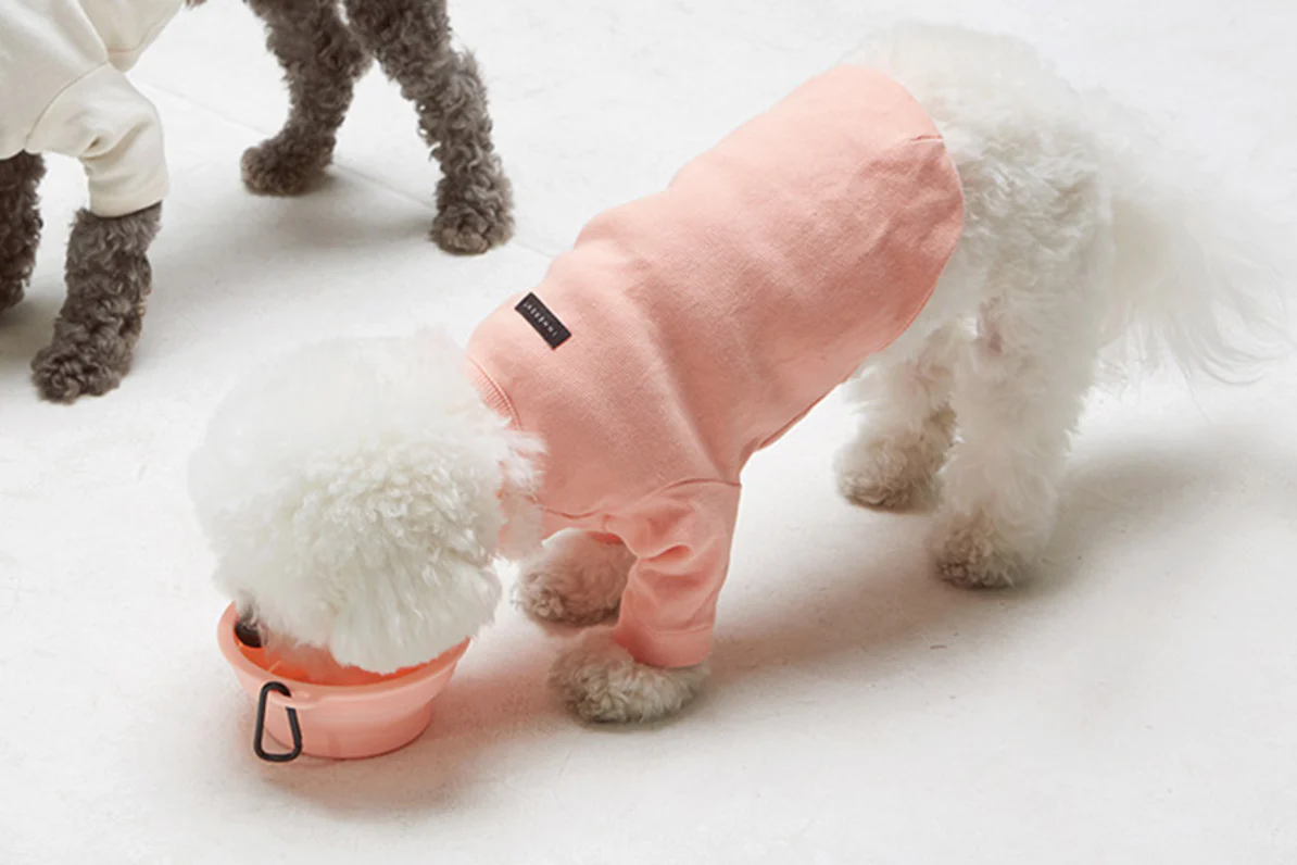 Macaron Collapsible Bowl . Pink