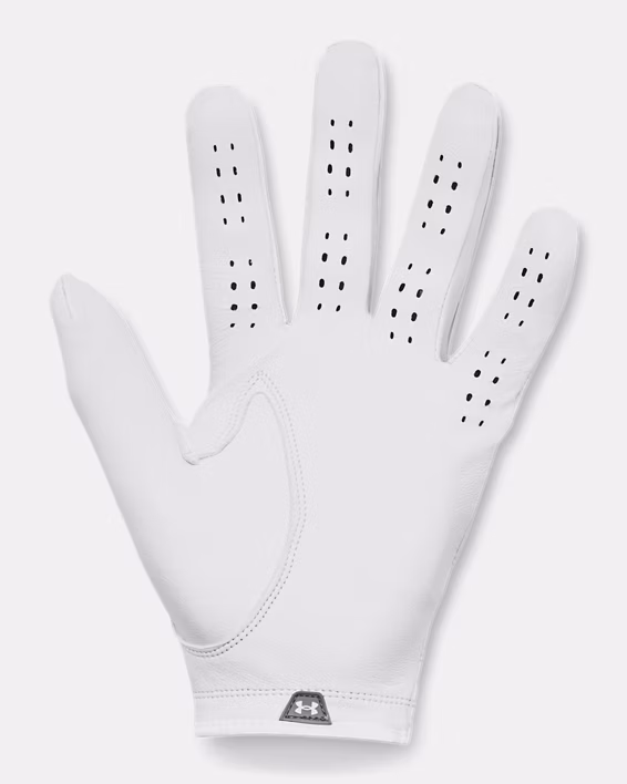 UA Drive Tour Men's Glove