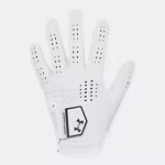 UA Drive Tour Men's Glove