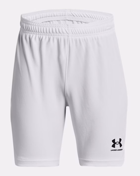 UA Challenger Core Boys' Shorts