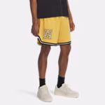UA Courtside Hoops Men's 23 cm Shorts