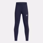 UA Challenger Boys' Training Pants