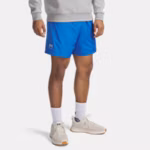 UA Icon Men's 14 cm Volley Shorts