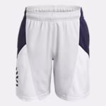 Curry Splash Boys' Shorts