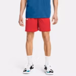 UA Zone Men's 18 cm Shorts