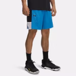 UA Zone Men's 18 cm Shorts