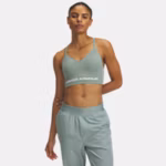 UA Vanish Seamless Low Women's Sports Bra