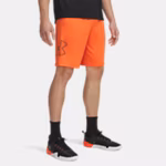 UA Tech™ Graphic Men's 25 cm Shorts