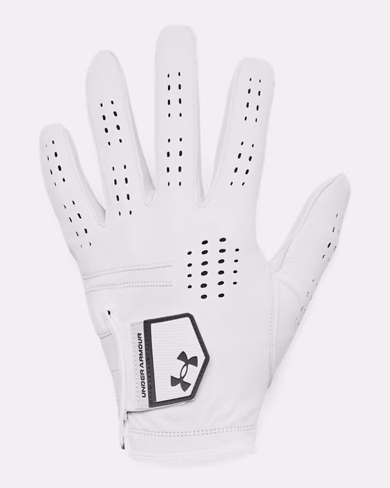 UA Drive Tour Men's Glove