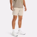 UA Icon Fleece Men's 20 cm Shorts