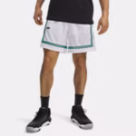 UA Zone Pro Mesh Printed Men's 18 cm Shorts