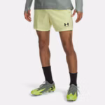 UA Challenger Pro Woven Men's 15 cm Shorts
