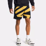 Curry Sig Men's 18 cm Shorts
