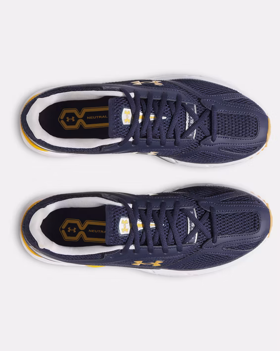 UA Apparition Unisex Shoes