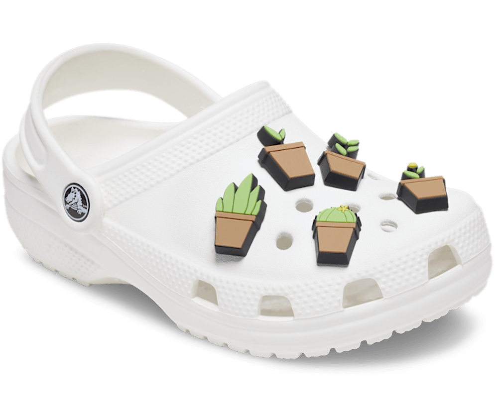 Potted Plant 5 Pack