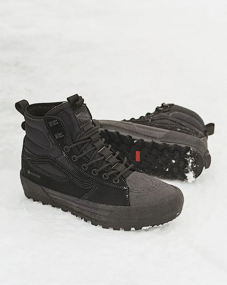 Sk8-Hi GORE-TEX Insulated Shoe