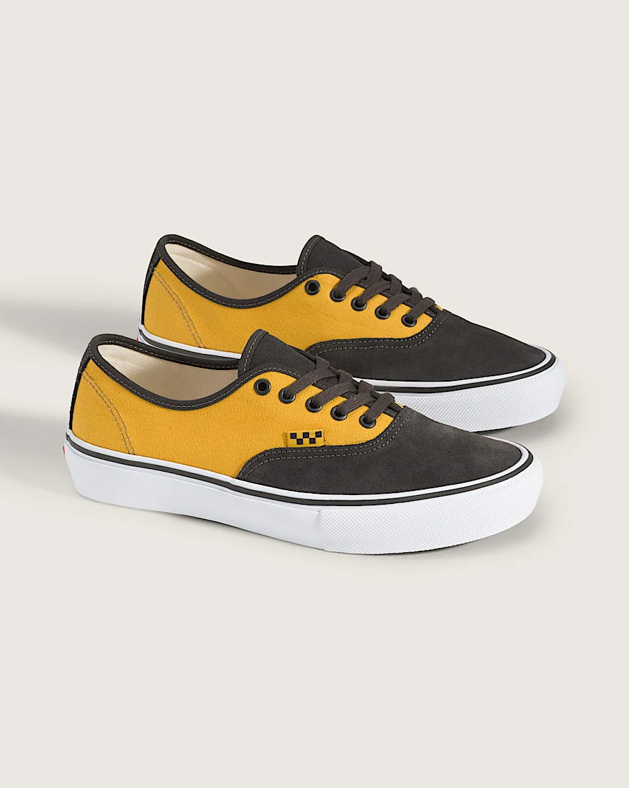 Skate Authentic Shoe
