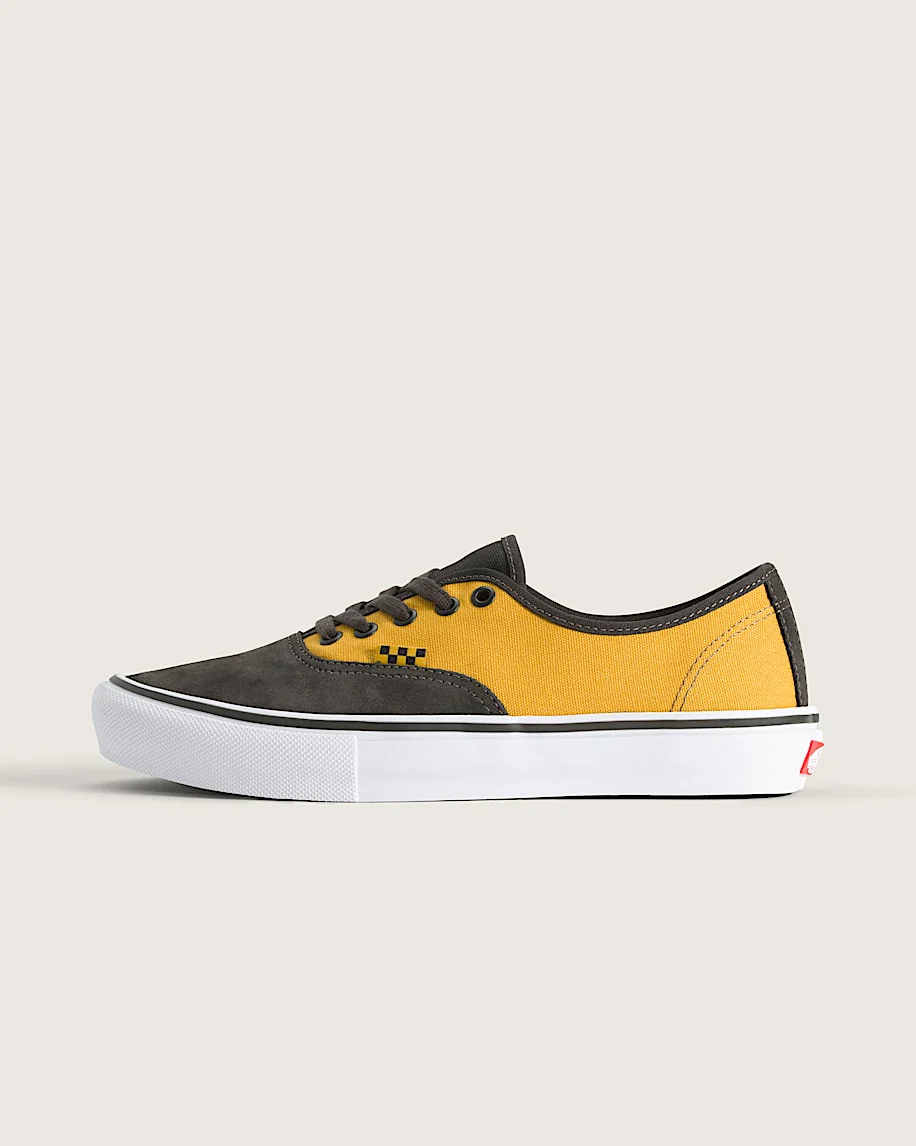 Skate Authentic Shoe