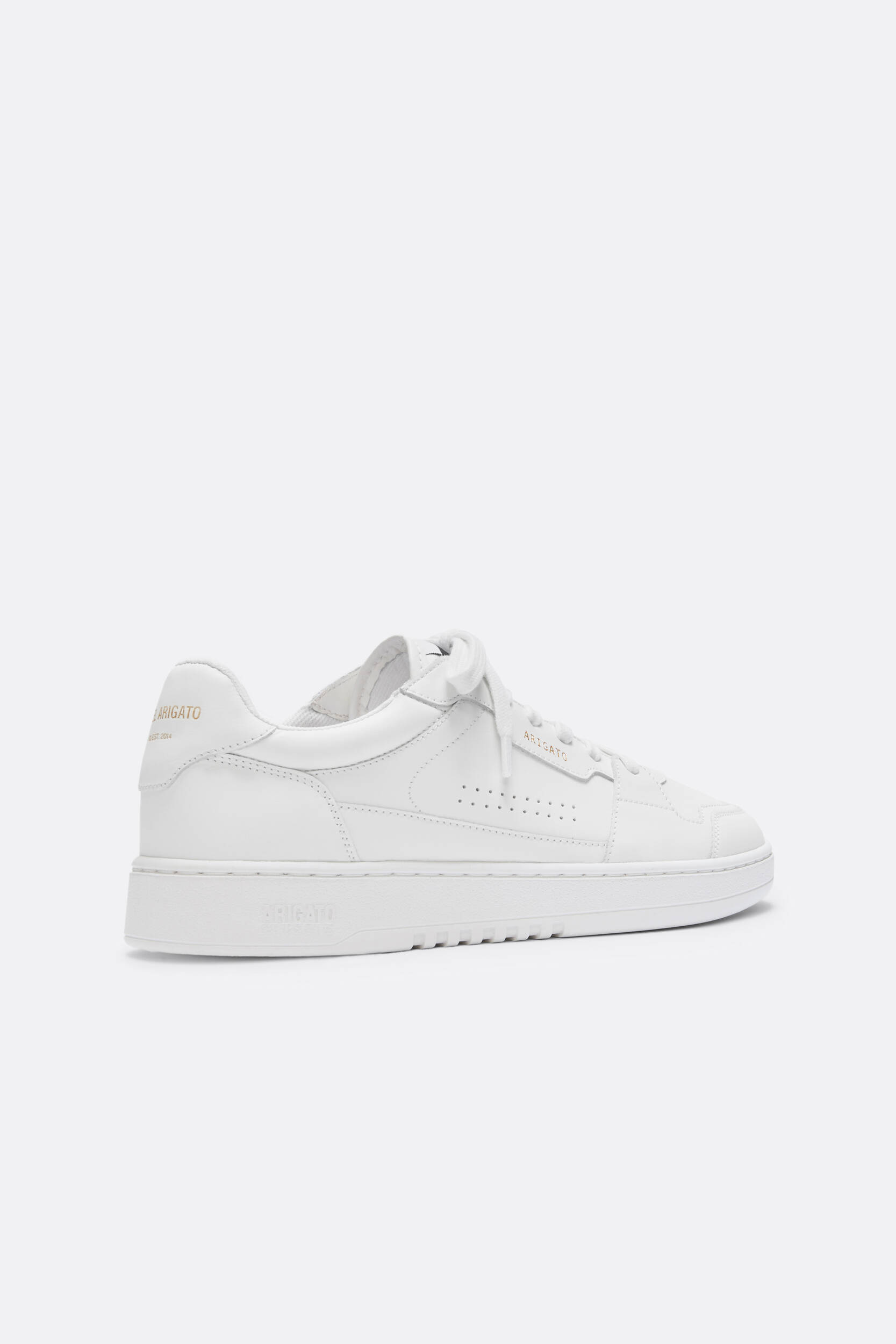 Dice Lo Sneaker