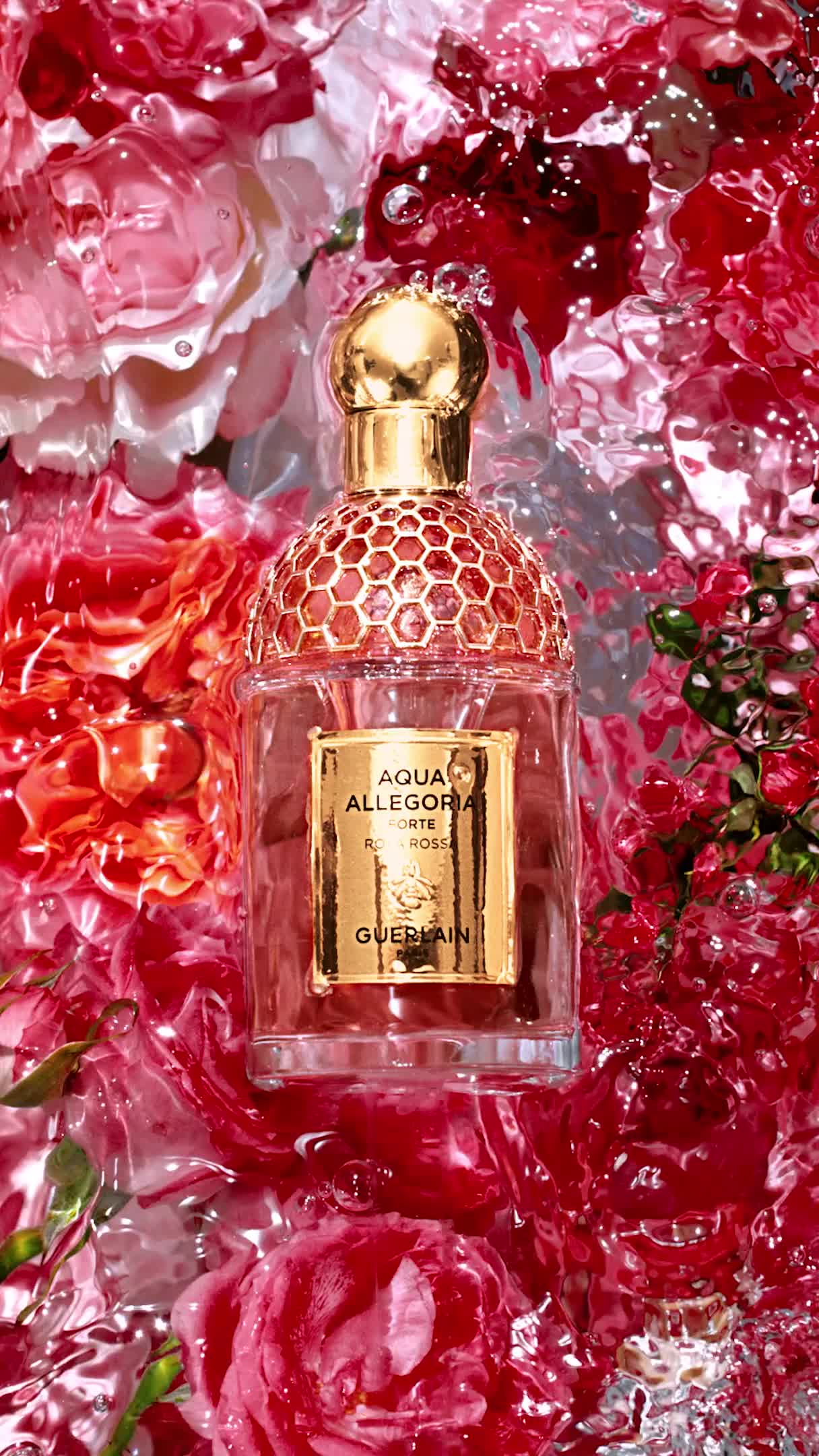 Aqua Allegoria Rosa Rossa Forte