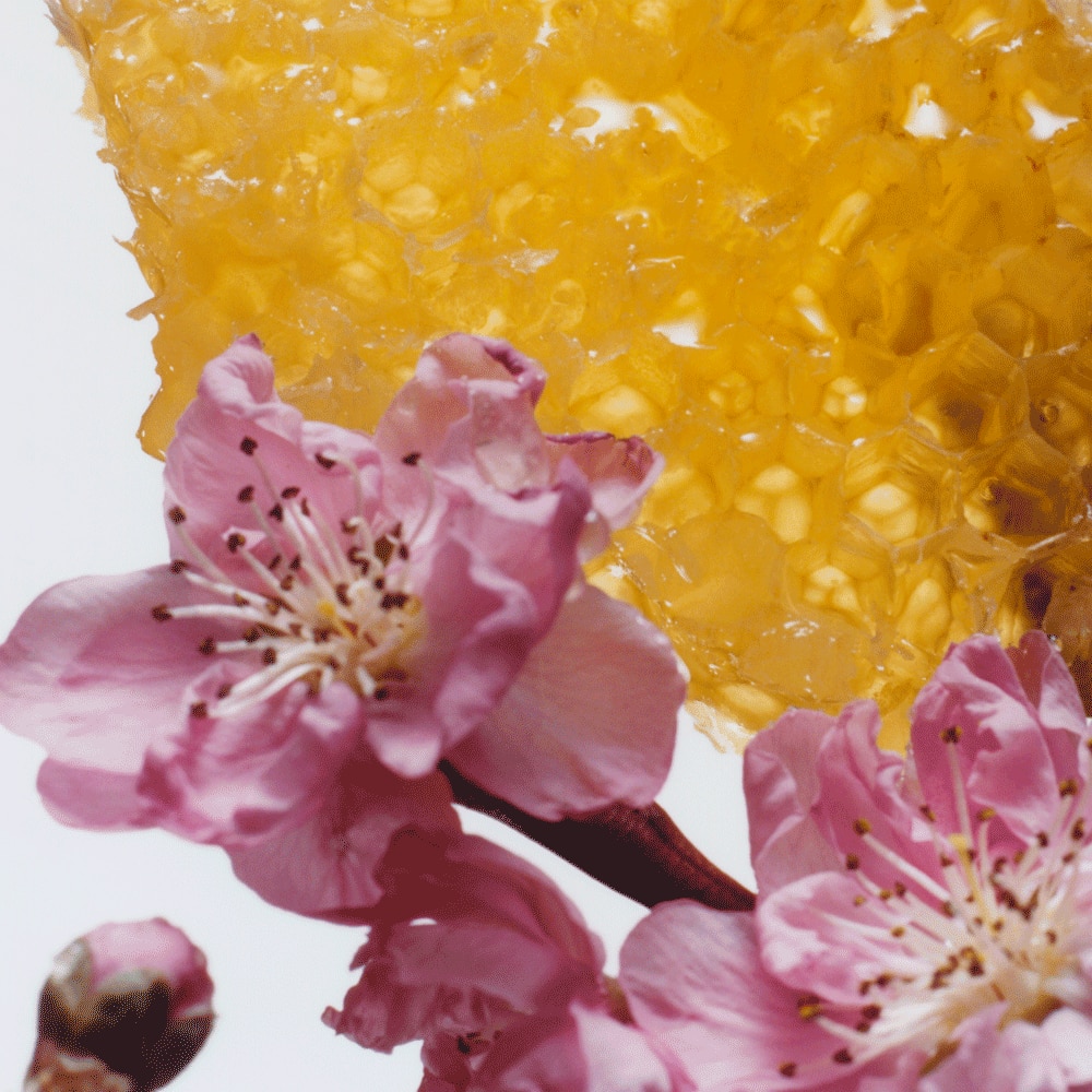 Jo Malone Nectarine Blossom & Honey Cologne