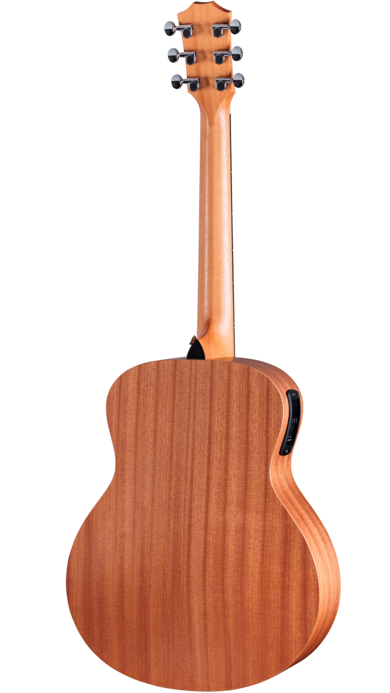 GS Mini-e Special Edition, Paisley Burst