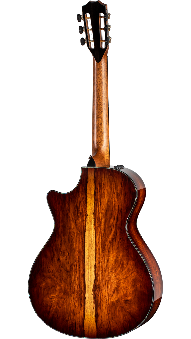 PS12ce 12-Fret Honduran Rosewood
