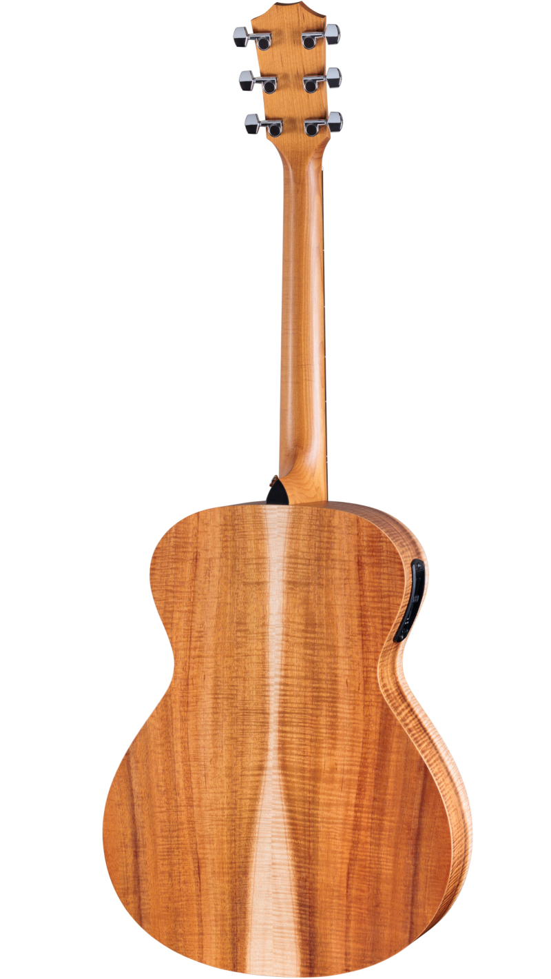 Academy 12e LTD