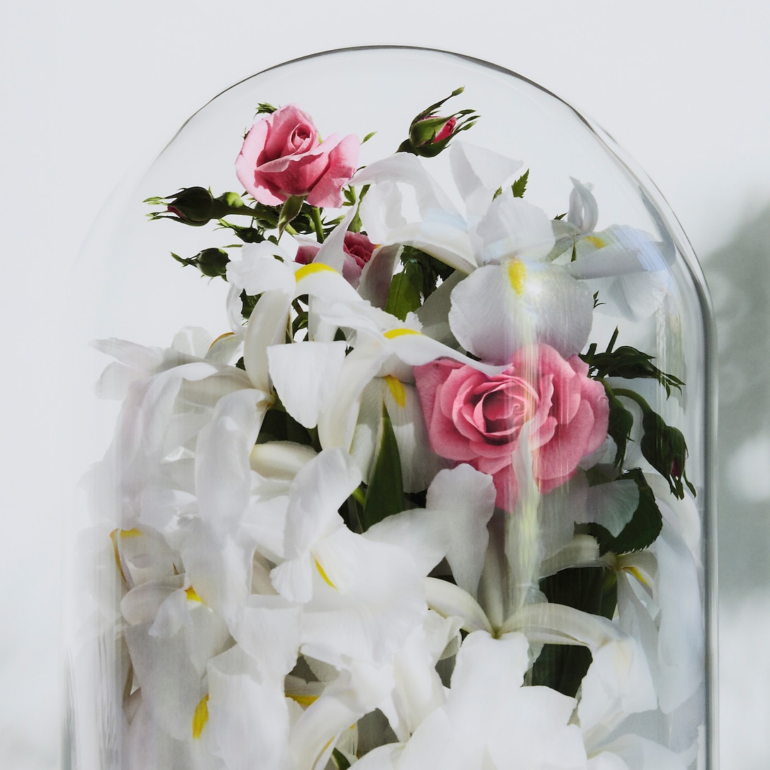 Louis Vuitton Spell on You