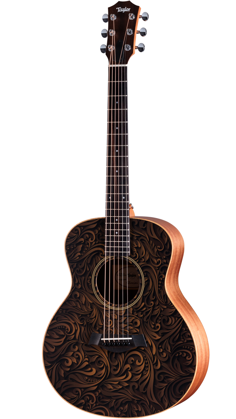 GS Mini-e Special Edition, Paisley Burst