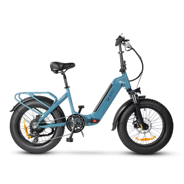 DYU 20
