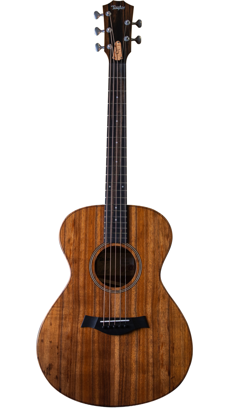 Jacob Collier Signature Model 5-String