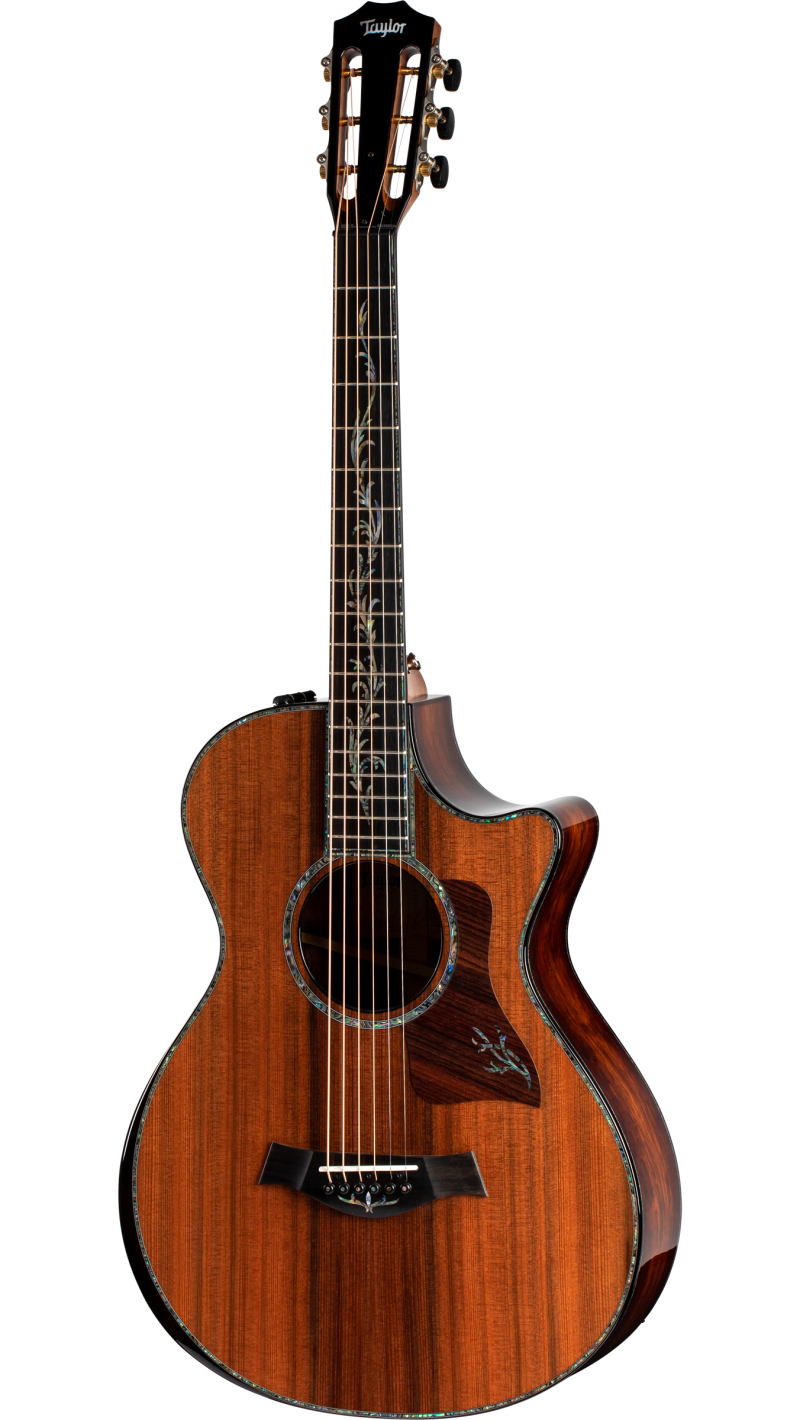 PS12ce 12-Fret Honduran Rosewood