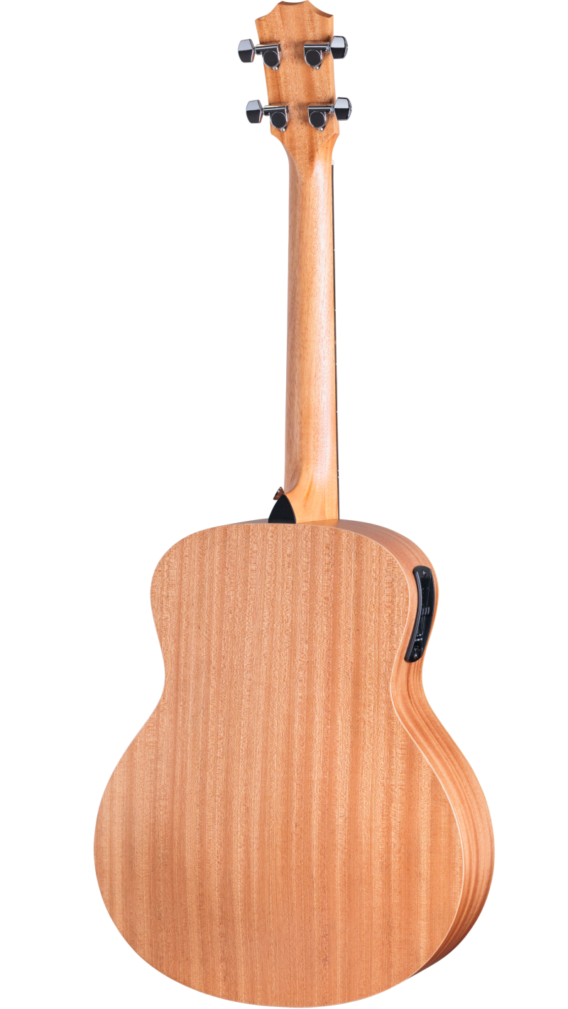 GS Mini-e Bass