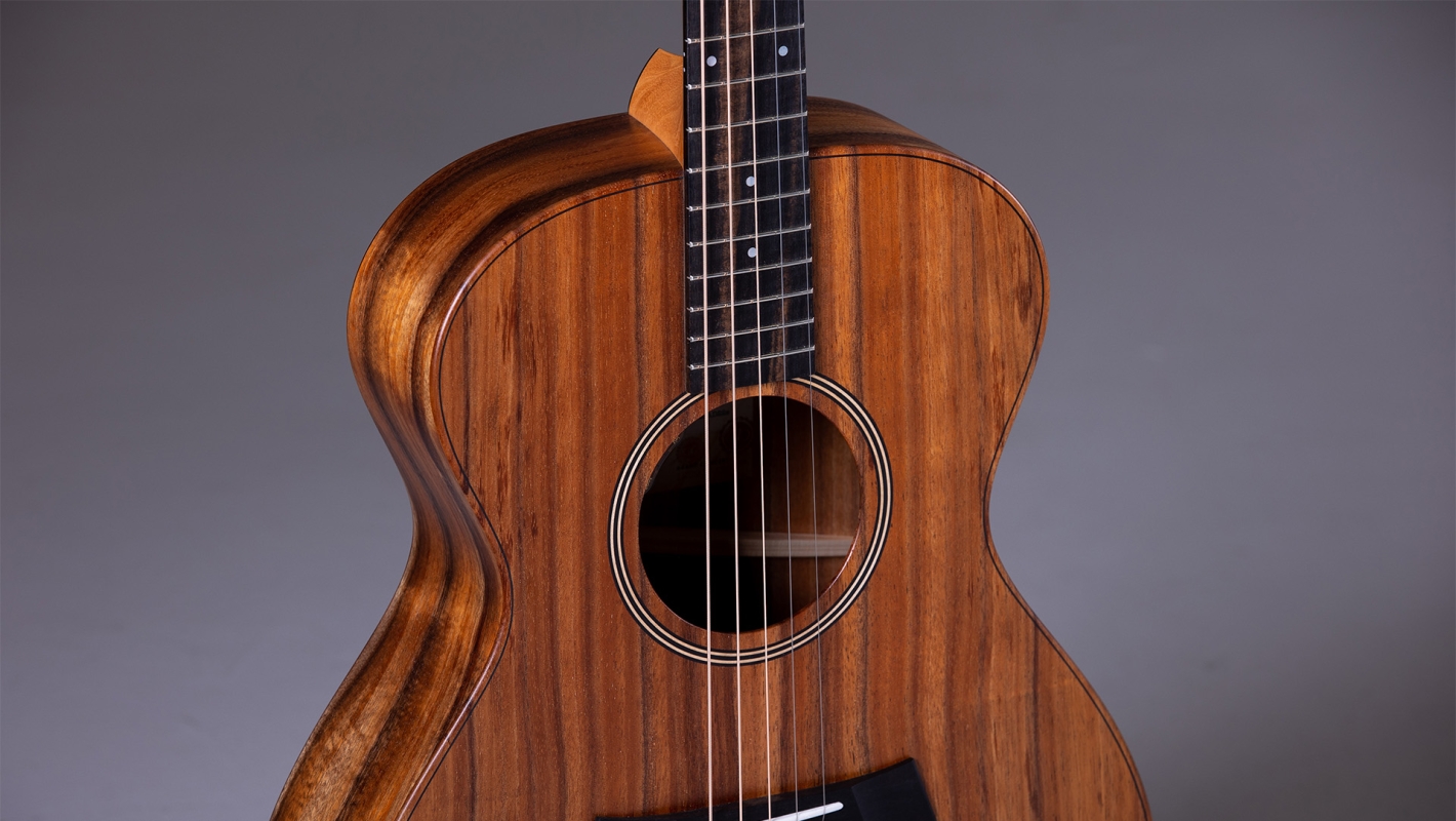 Jacob Collier Signature Model 5-String