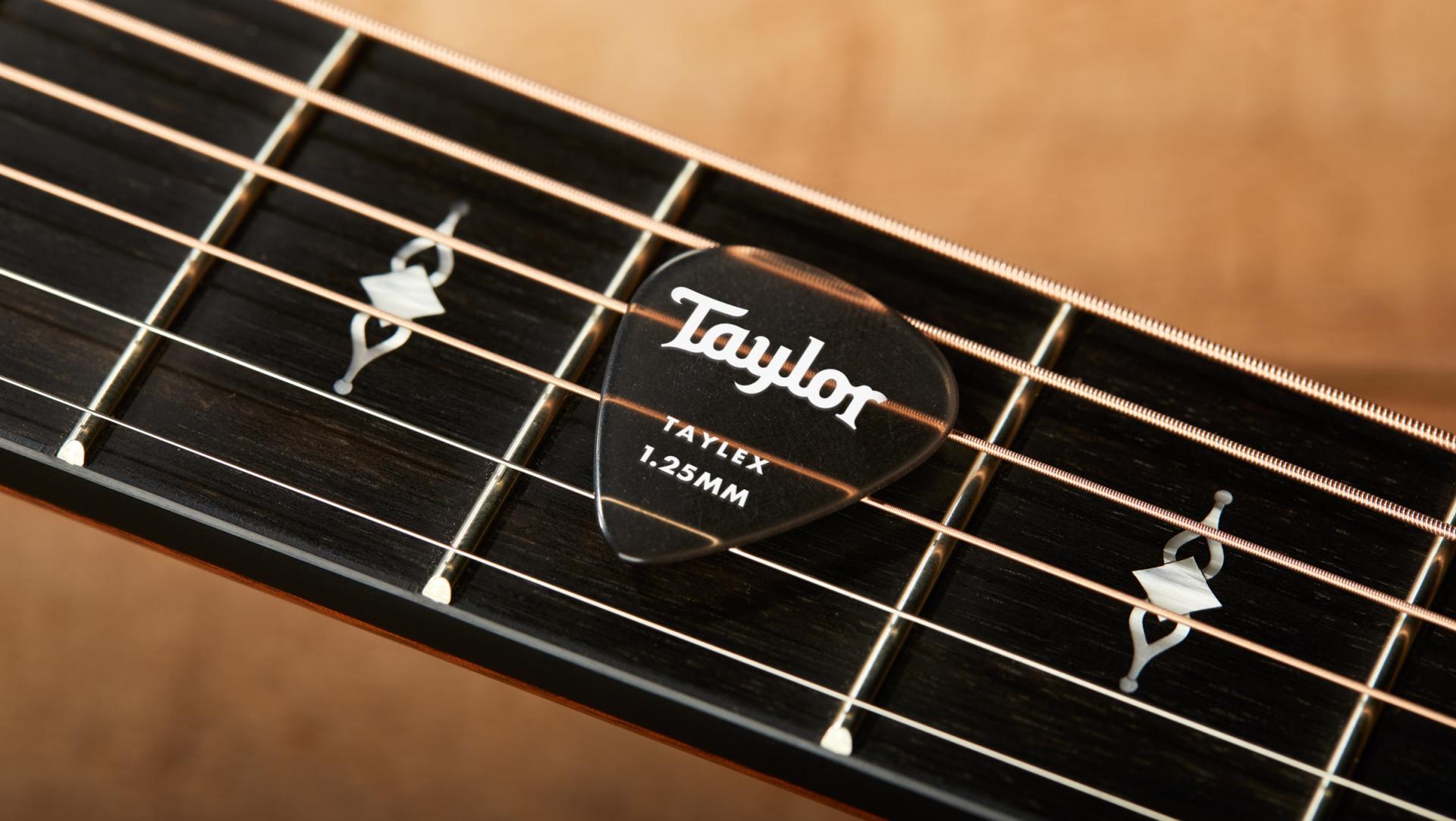Taylor Premium 351 Taylex Guitar Picks - 1.25mm, 6-pack