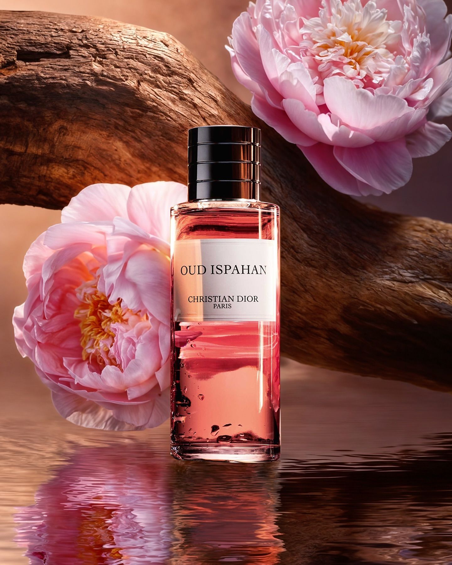 Christian Dior Oud Ispahan