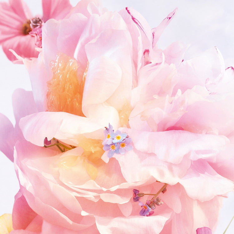 Miss Dior Blooming Bouquet