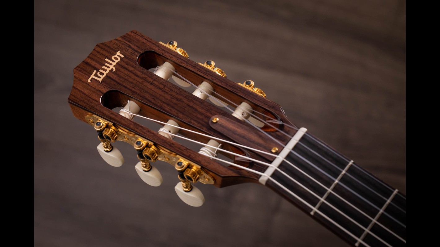 Jason Mraz Signature Model (JMSM)