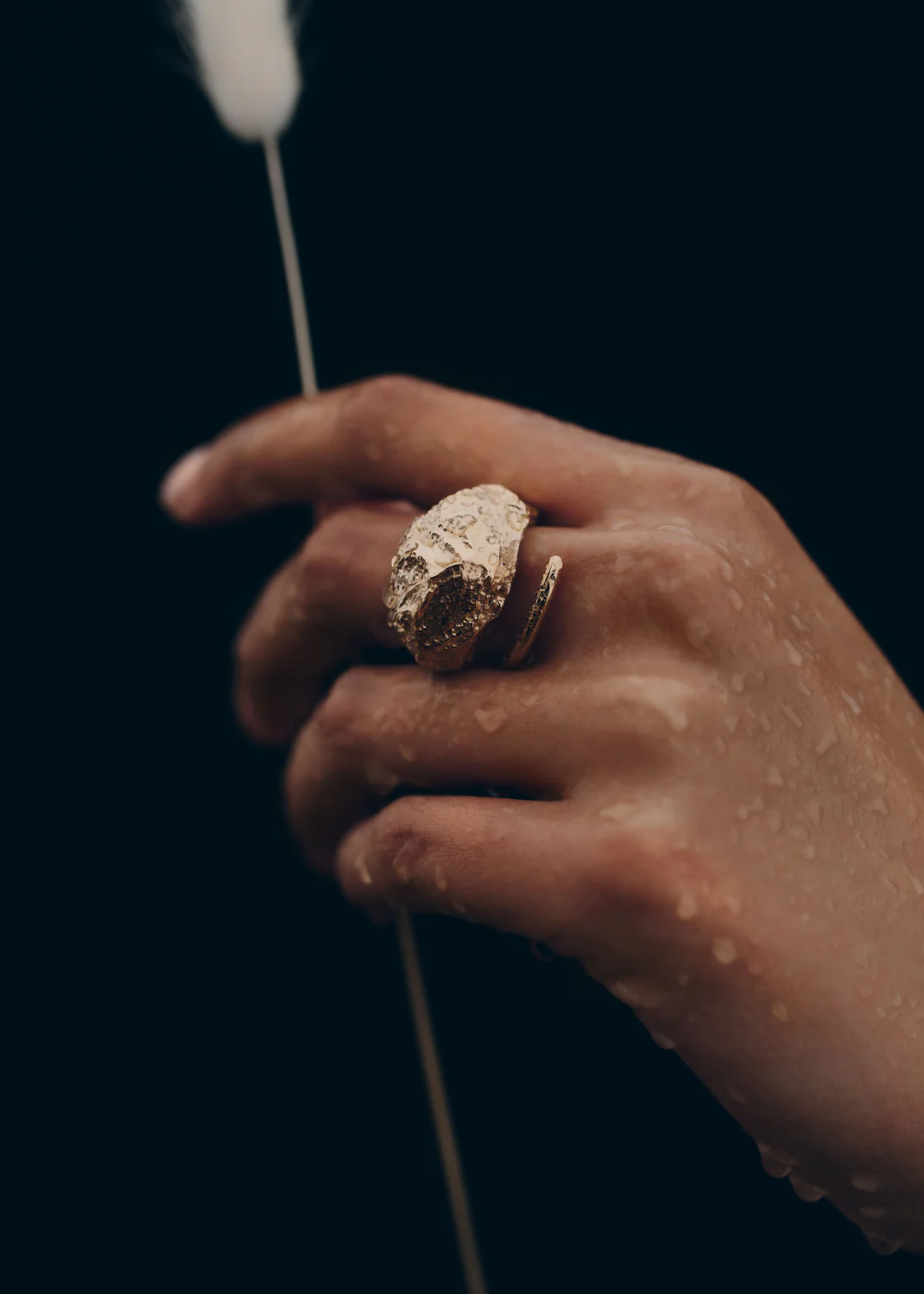 Eroz Ring-Edition 24 carat gold gilded
