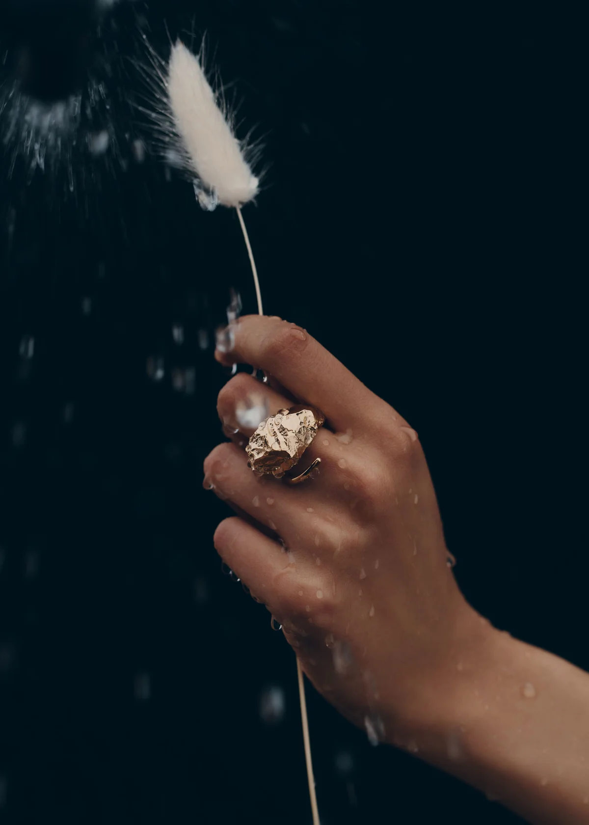 Eroz Ring-Edition 24 carat gold gilded