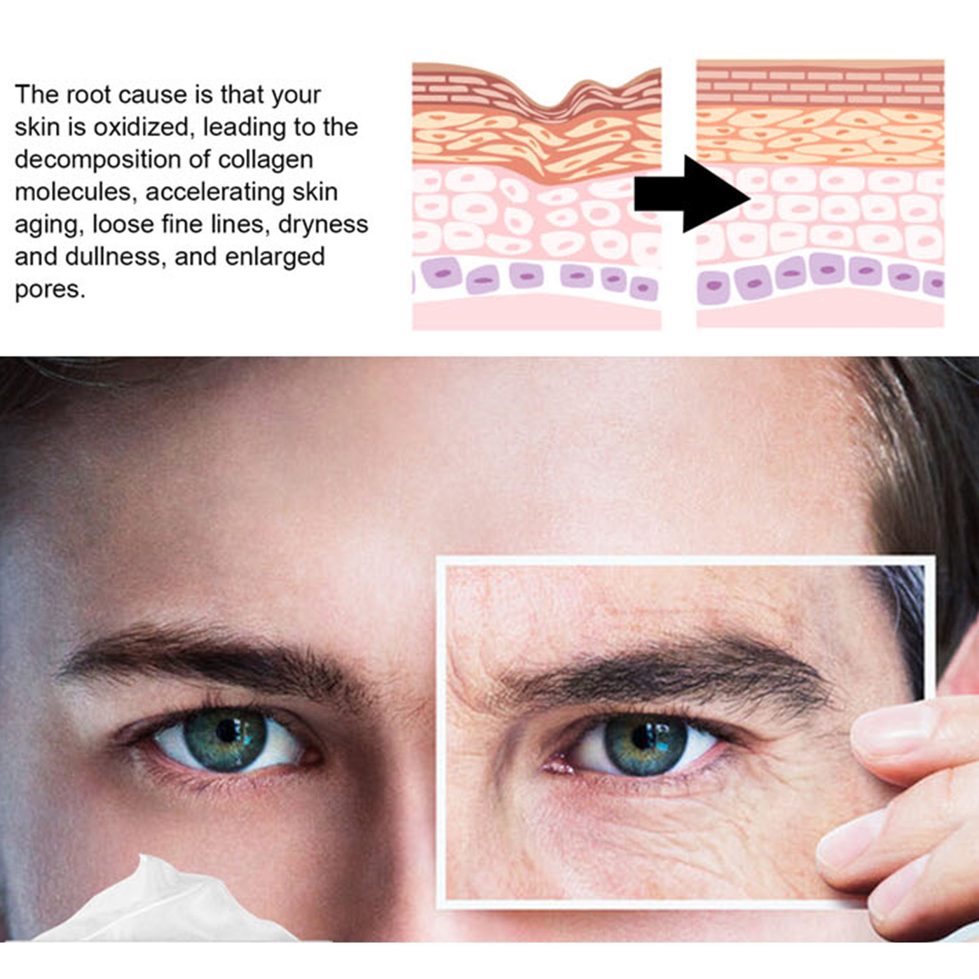 Ginseng Fine Line Care Cream