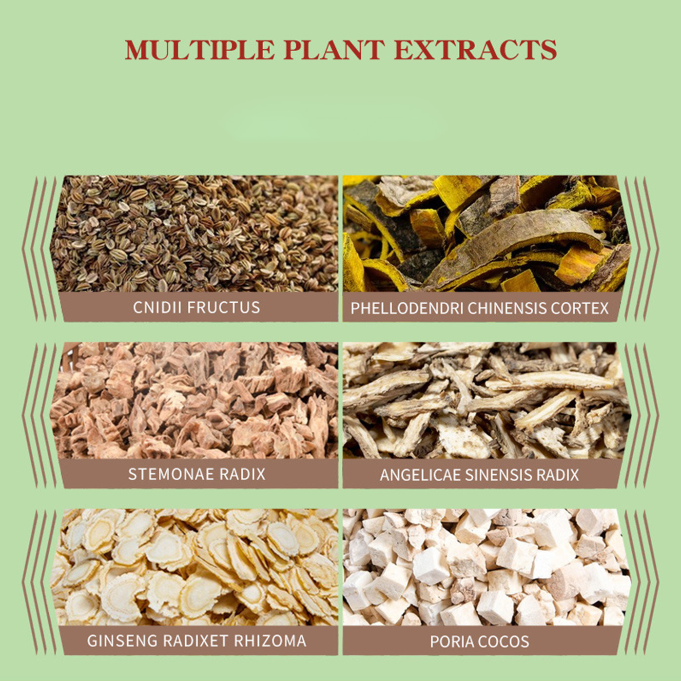 Ginseng Fine Line Care Cream