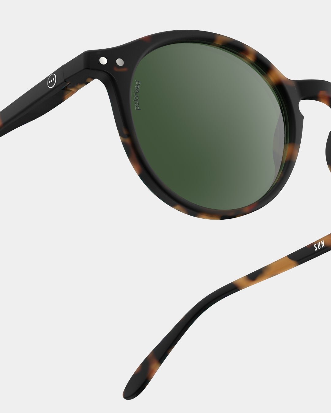 #D Tortoise Polarized