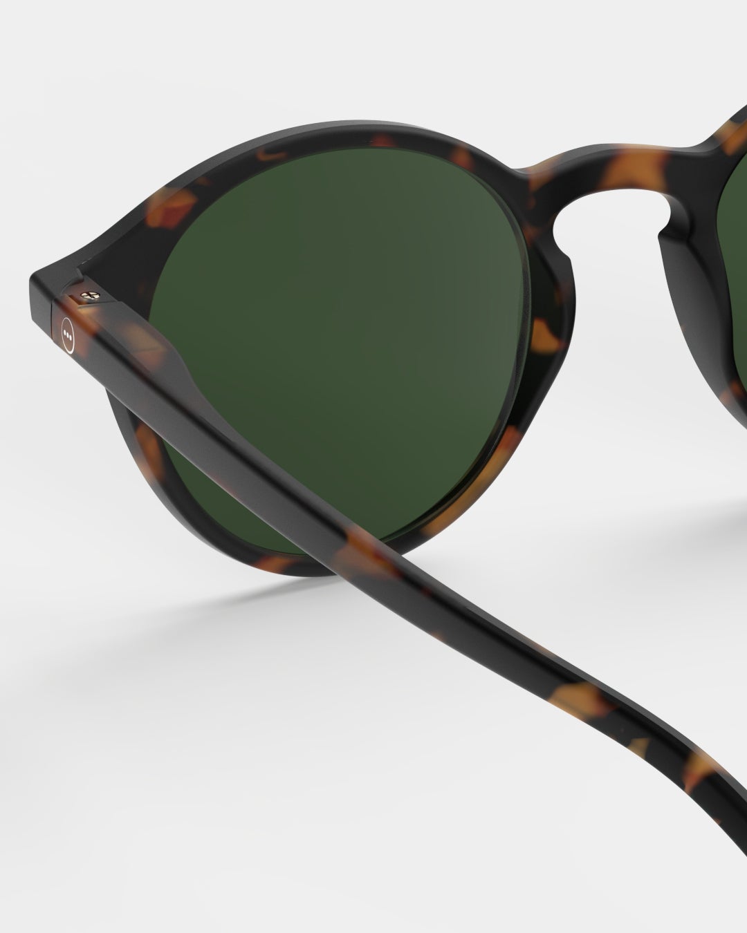 #D Tortoise Polarized
