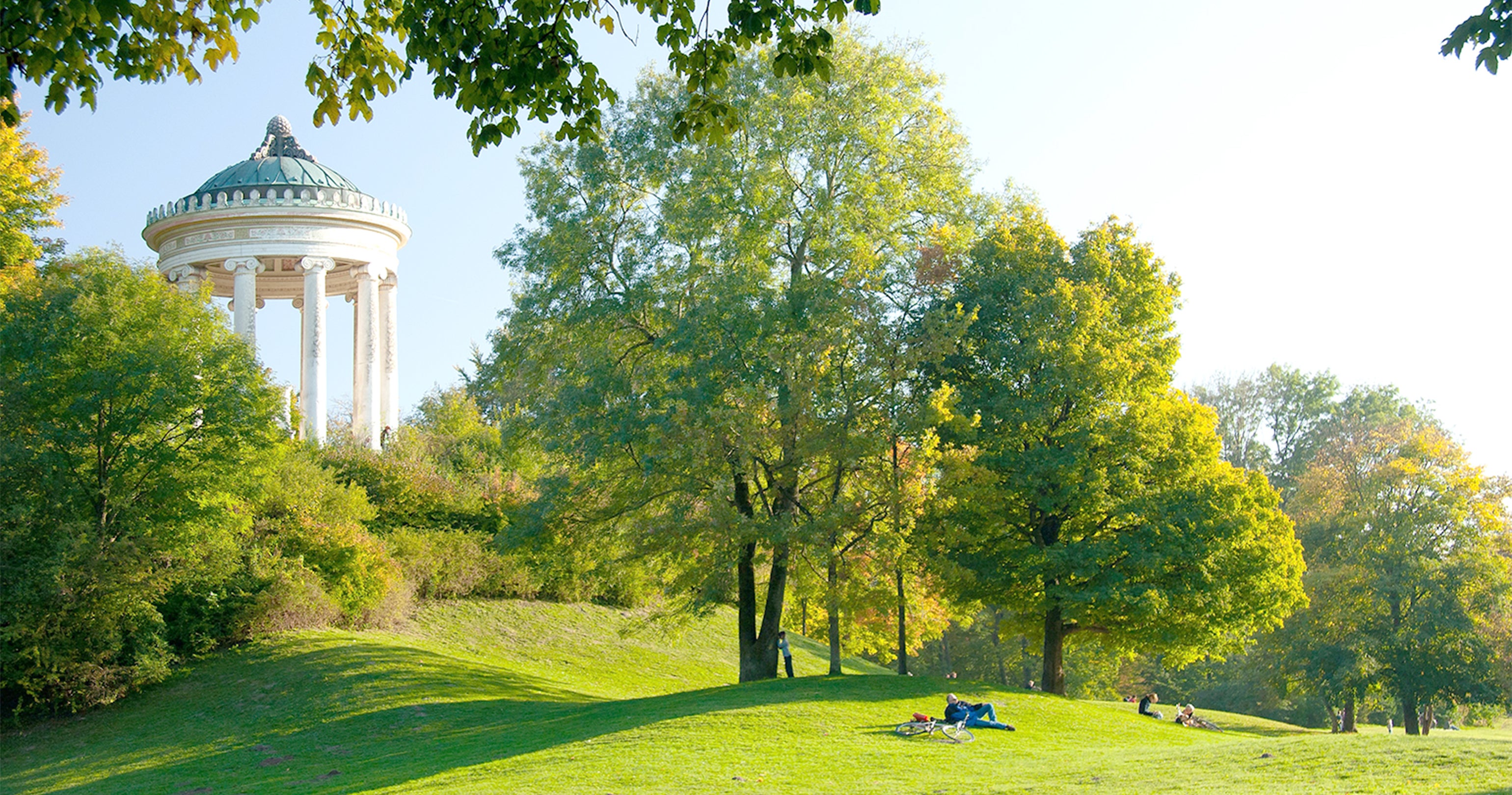 #C Tortoise Polarized