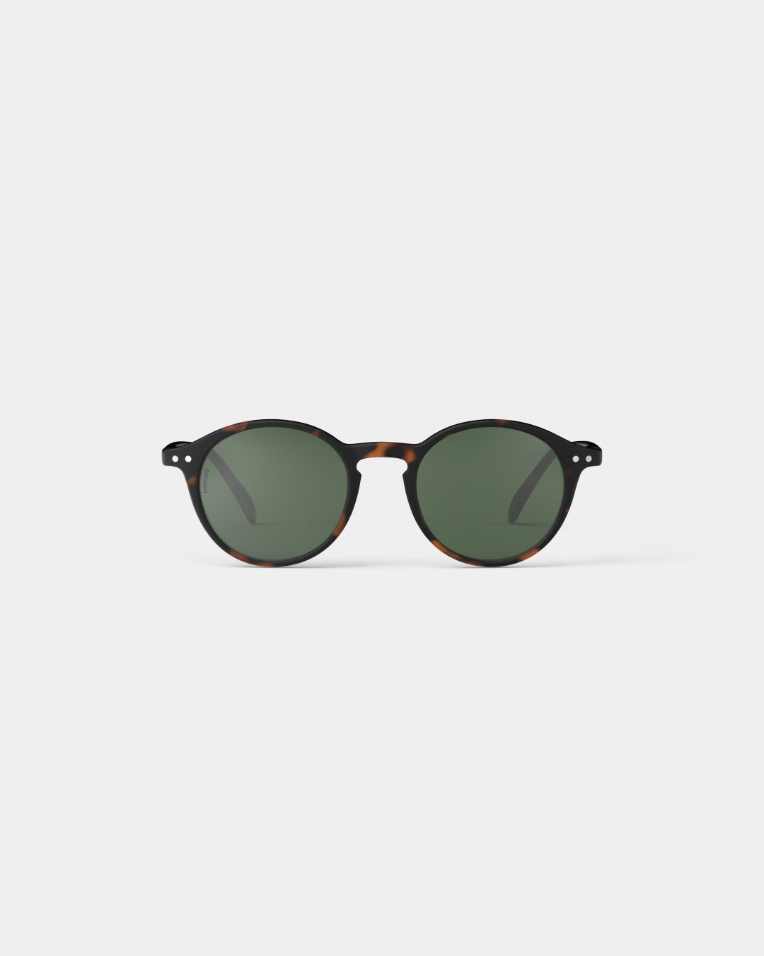 #D Tortoise Polarized