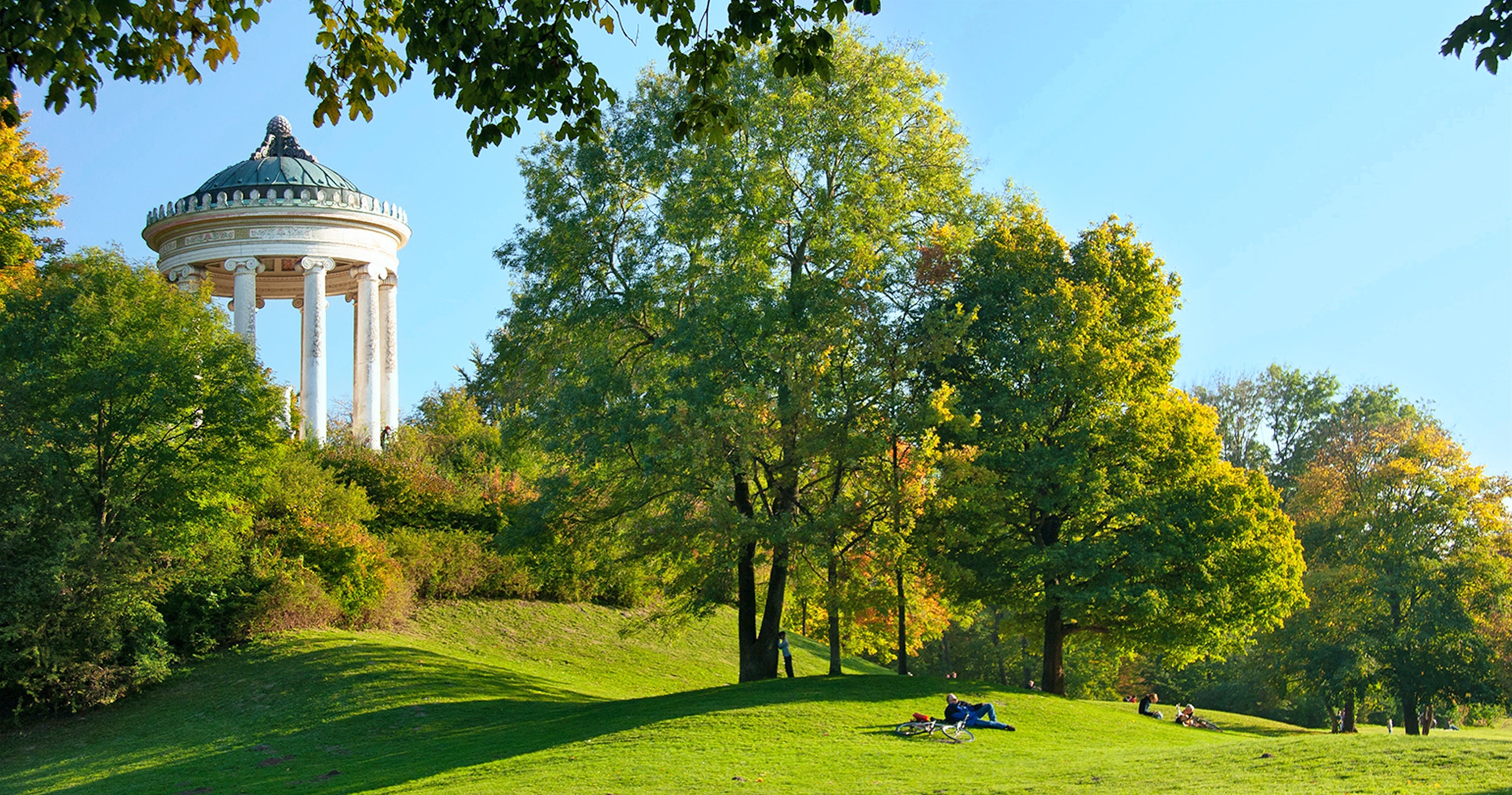 #C Tortoise Polarized